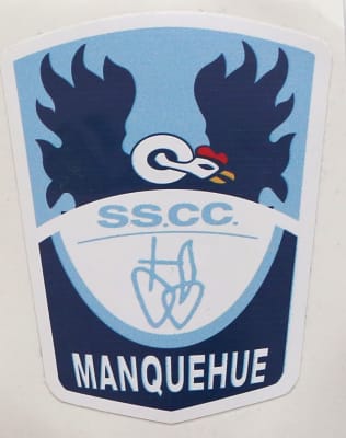 STICKER INSIGNIA