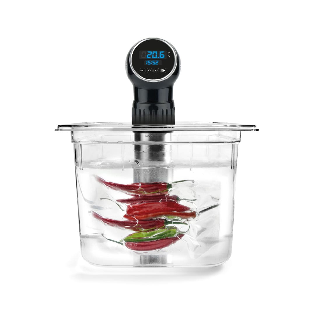 SOUS VIDE PROFESIONAL SV202