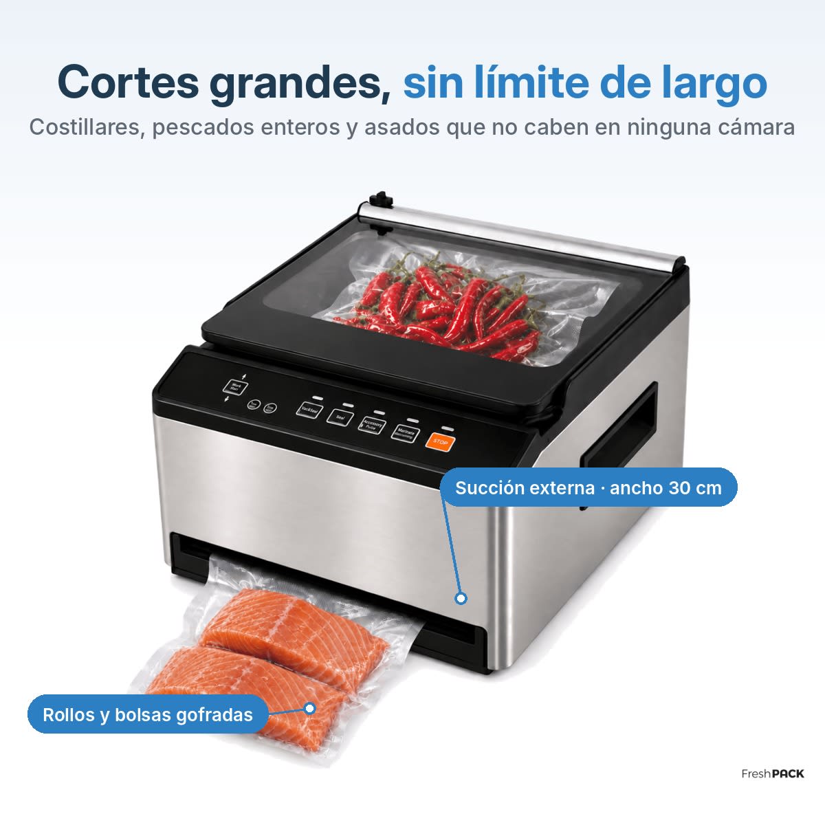 SELLADORA AL VACIO DUAL (CAMPANA Y SUCCIÓN)5