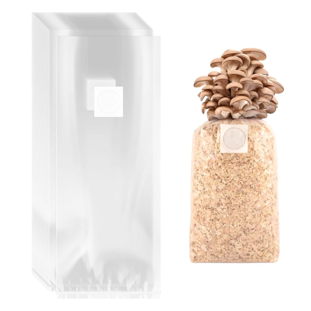 Pack 50 Bolsas para Cultivo de hongos 20x12x503