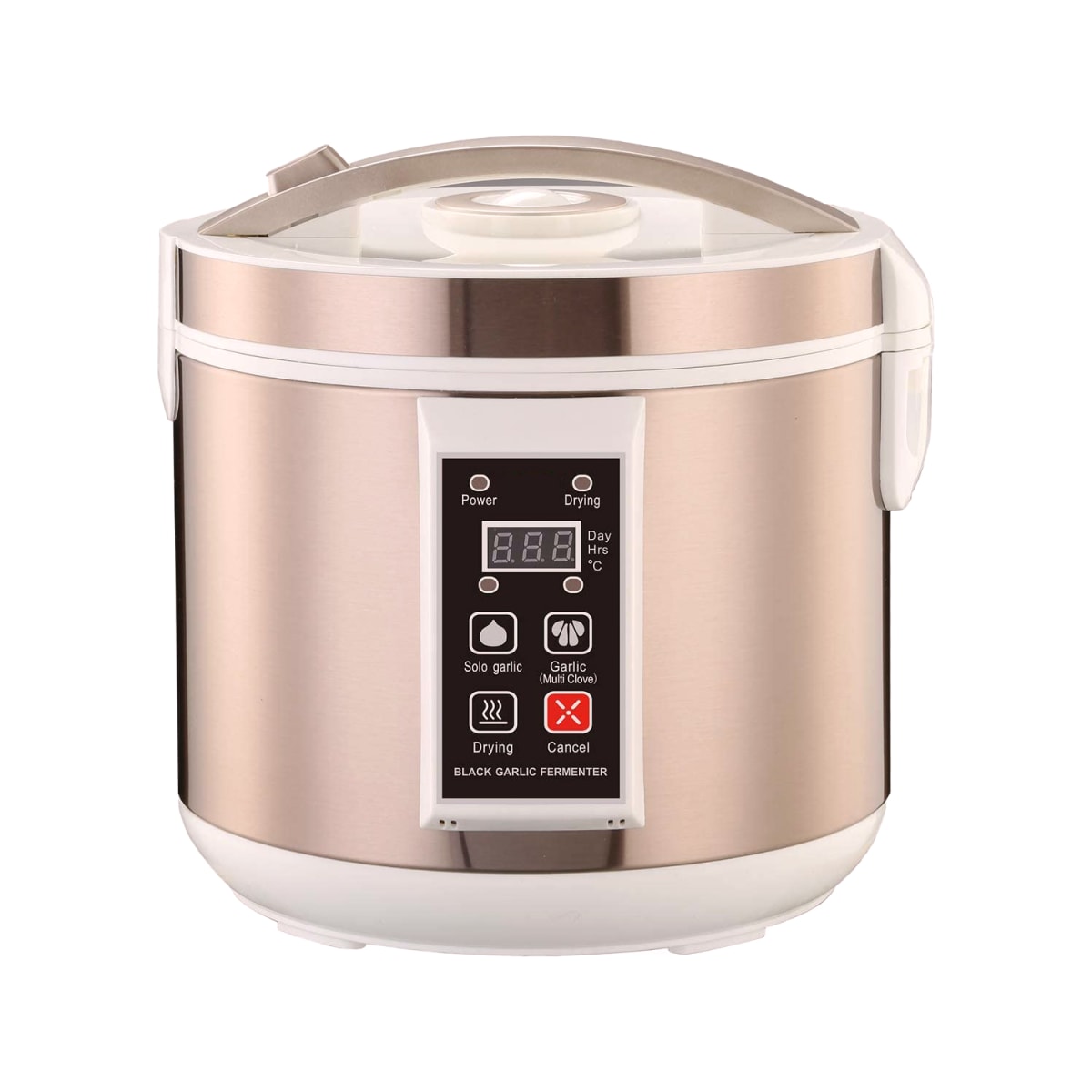 FERMENTADOR AJO1
