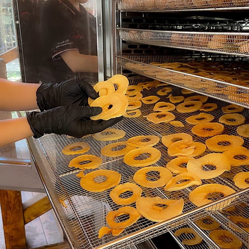 Deshidratadora Con Bomba De Calor IKE WRH-100GN5