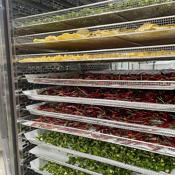 Deshidratadora Con Bomba De Calor IKE WRH-100GN10