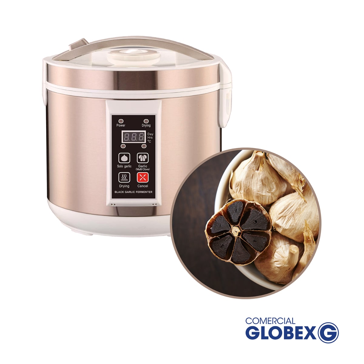 FERMENTADOR AJO4