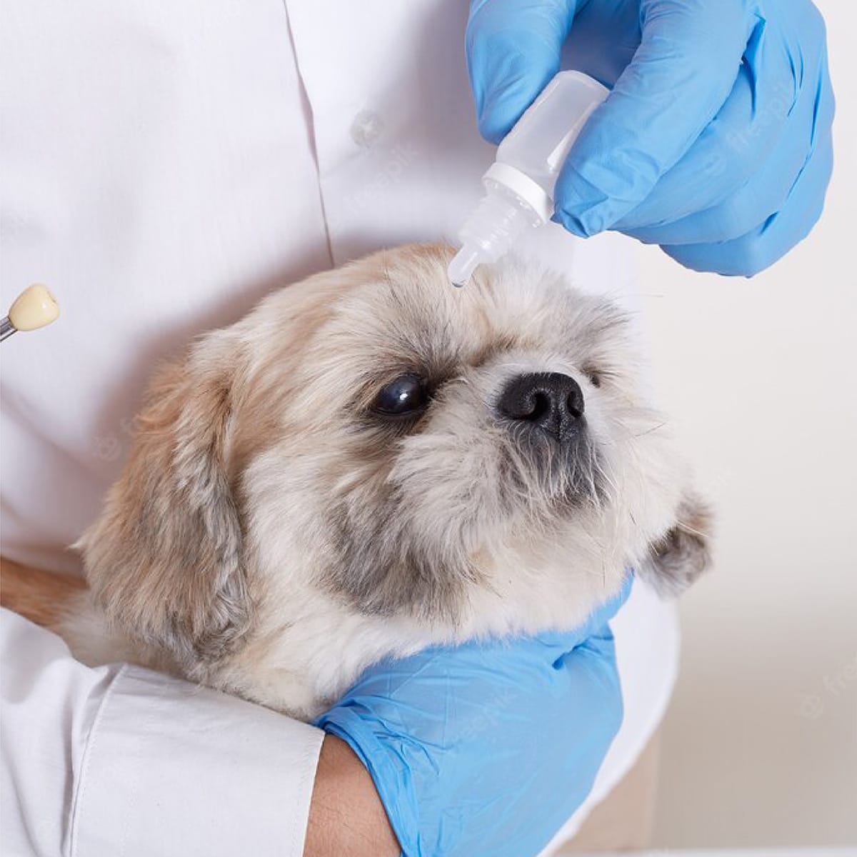 Guantes 100% De Nitrilo Caja 100 Unid. Tallas Xs S M L Xl6