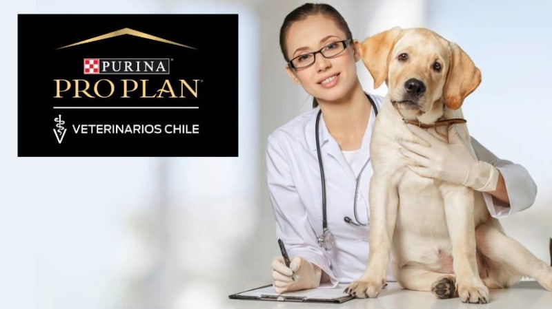 Línea veterinaria