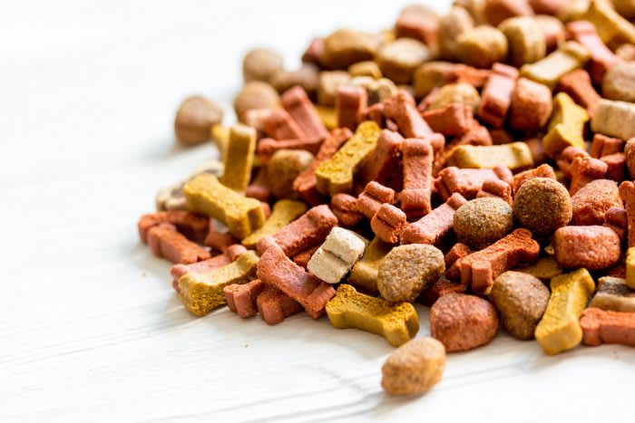 ¿Conoces realmente el alimento que le das a tus mascotas?