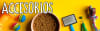 Inicio
