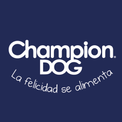 Champion Dog Champion Dog