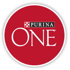 One Perro