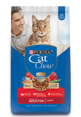 CATCHOW ADULTO CARNE (8kg)