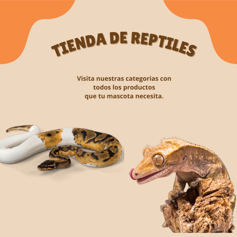 s templerv escritorio01866