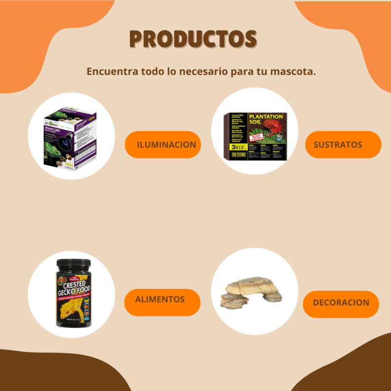 collection ver todo