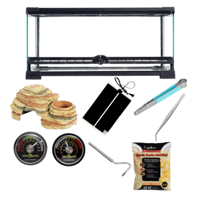 KIT INICIAL SERPIENTE, TERRARIO 45X30X22CM1