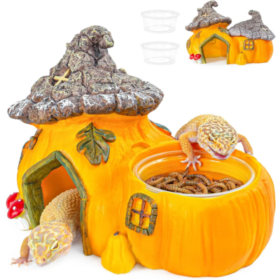 CUEVA EN FORMA DE CALABAZA, REPTIZOO