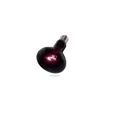 AMPOLLETA NOCTURNA CALEFACTORA (LUZ VIOLETA) 75W