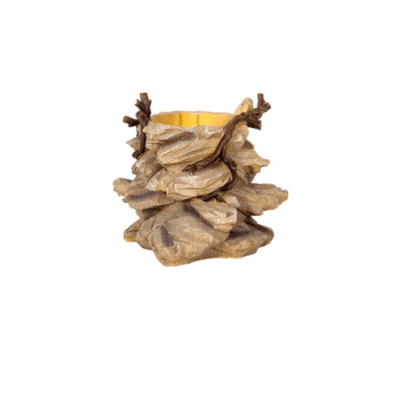 REPTIZOO, BASE PARA BEBEDERO  DF011