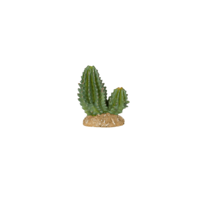 CACTUS DE DECORACIÓN