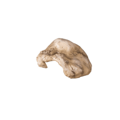 REPTIZOO, GUARIDA DE 14X10X6 CM  (TALLA S)