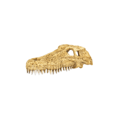 REPTIZOO, CAVERNA DE COCODRILO DE  29X14.5X8 CM (TALLA M)