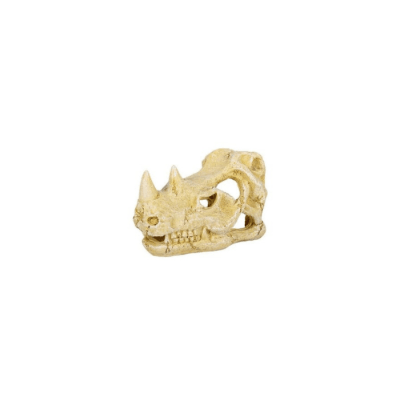 CUEVA CALAVERA DE RINOCERONTE 22X14X15 CM (TALLA L)