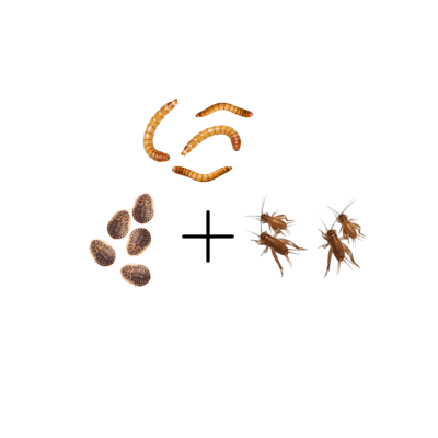 MIX ALIMENTO VIVO 2