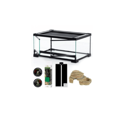 KIT DE GECKO LEOPARDO, TERRARIO DE 45X30X22CM (LARGO, ANCHO Y ALTO)