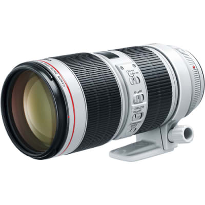 Canon EF 70-200mm f/2.8L IS III USM Lens5