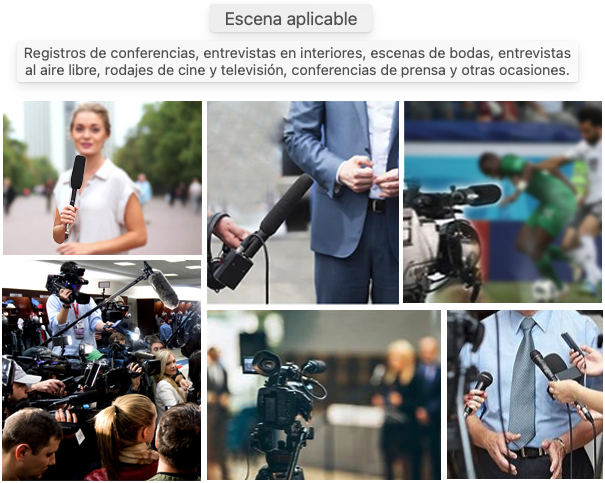 E-IMAGE-micrófono profesional con condensador de metal para cámara de vídeo, hiper cardioide1