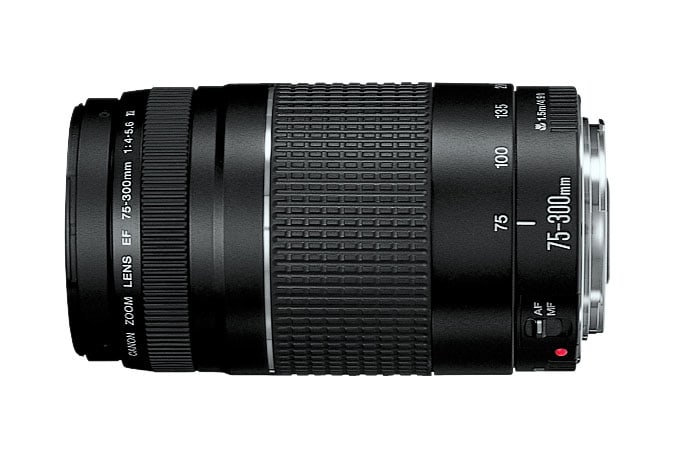 Canon EF 75-300mm f/4-5.6 III Lens3