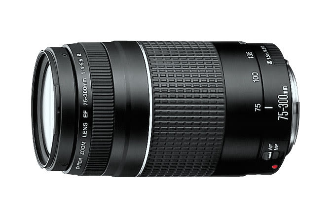 Canon EF 75-300mm f/4-5.6 III Lens2