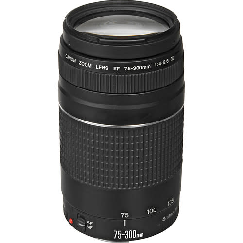 Canon EF 75-300mm f/4-5.6 III Lens5