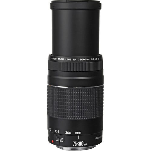 Canon EF 75-300mm f/4-5.6 III Lens4
