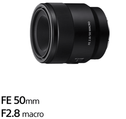 Sony FE 50mm f/2.8 Macro Lens 4