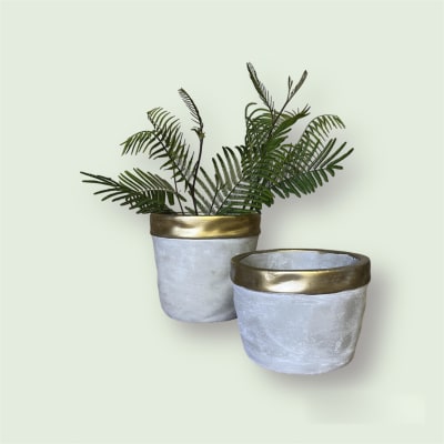 Macetero cemento borde dorado ch1