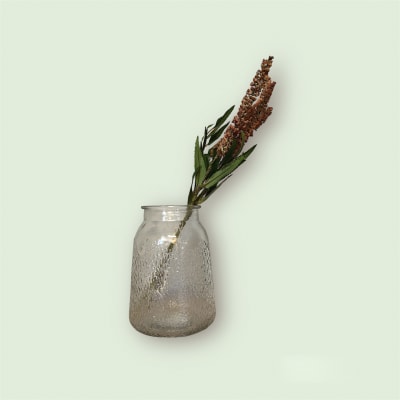 Rama Lavanda