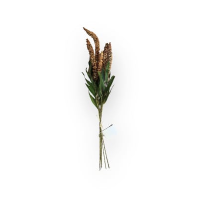 Rama Lavanda