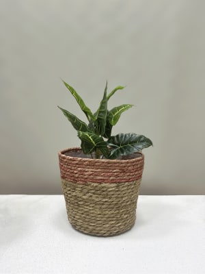 Canasto macetero burdeo mediano3