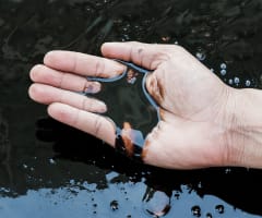 Agua en Riesgo: El Peligro del Aceite Quemado