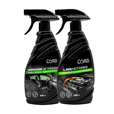 DÚO LIMPIADOR DE TAPICES + LAVAMOTORES3