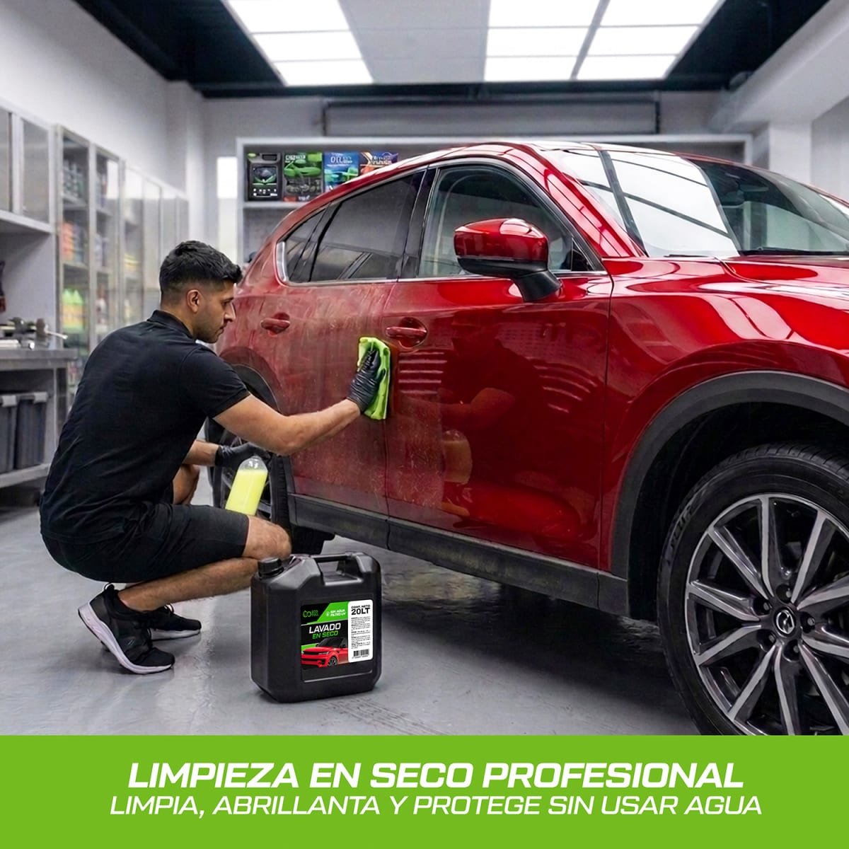 LAVADO EN SECO DRY-WASH 20 L2