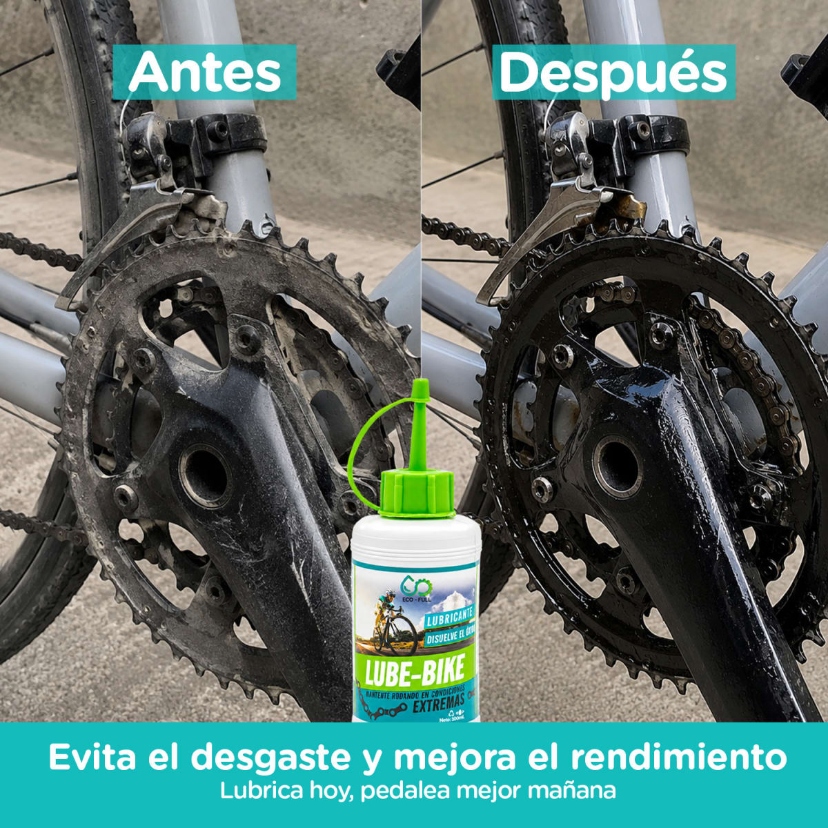 KIT CADENA PROTEGIDA4