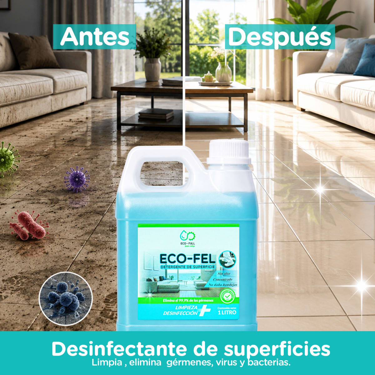 ECO-FEL2