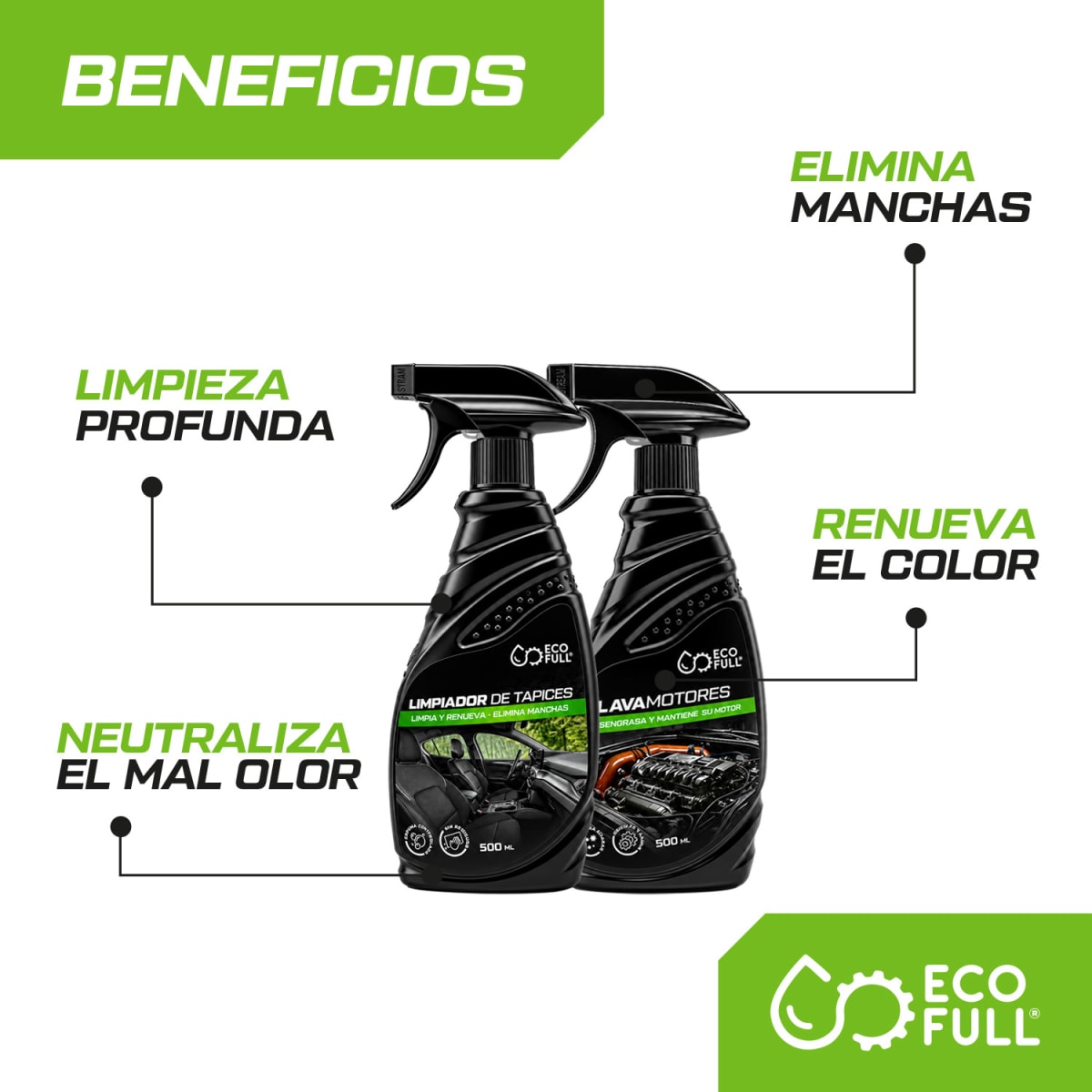 DÚO LIMPIADOR DE TAPICES + LAVAMOTORES5