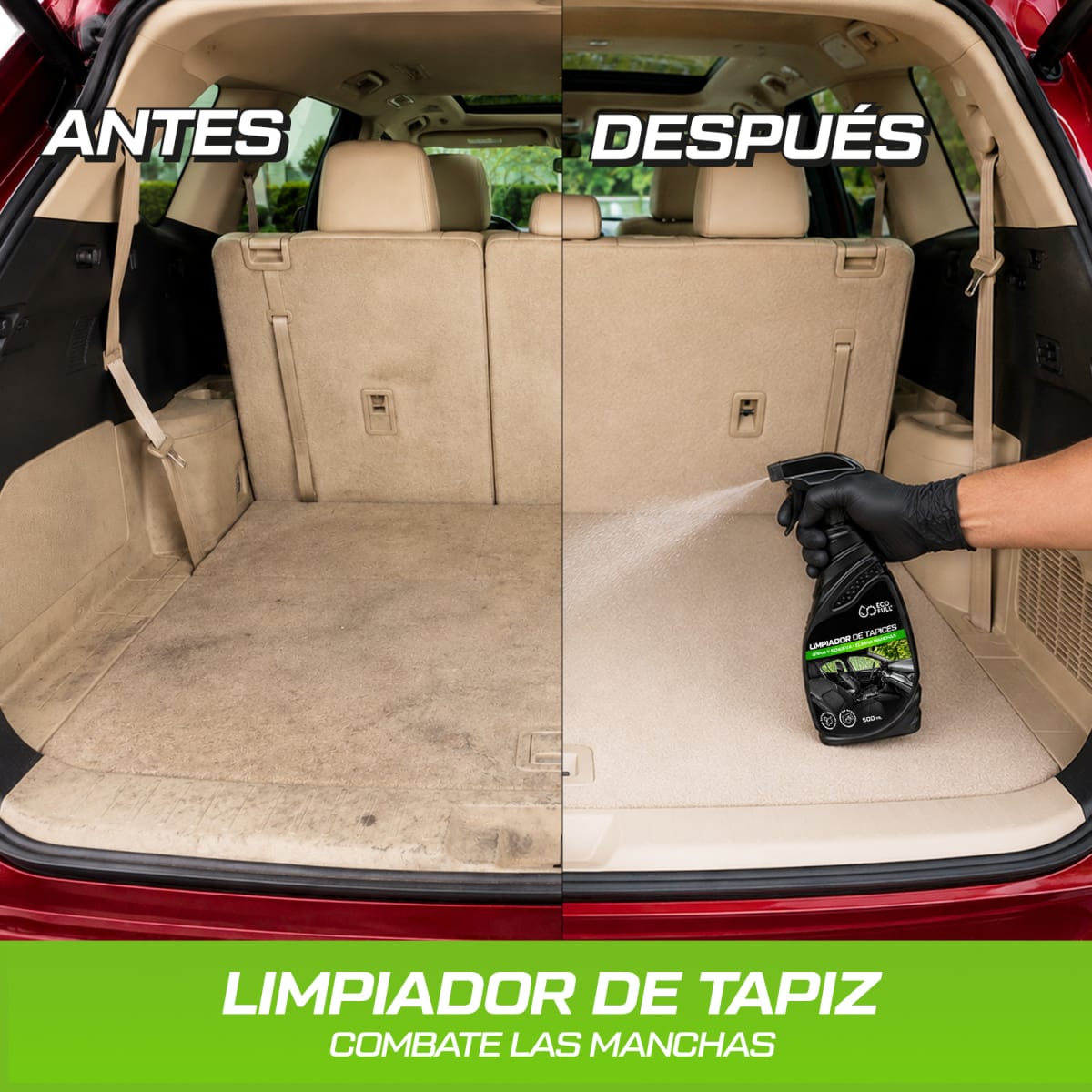 DÚO LIMPIADOR DE TAPICES + LAVAMOTORES3