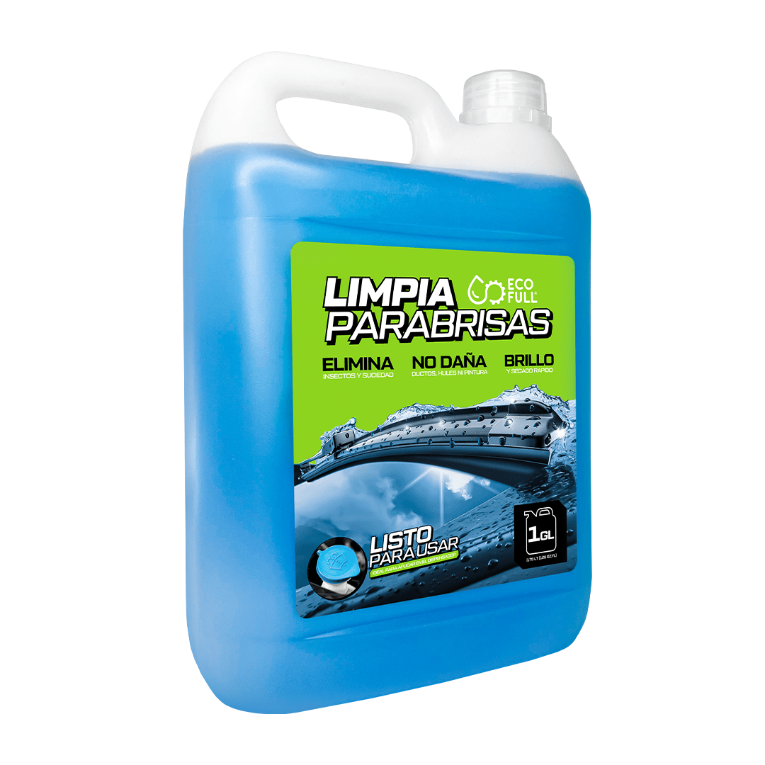 LIMPIA PARABRISAS2