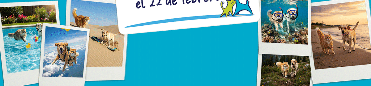 Cerrado por vacaciones... volvemos el 22 con despachos