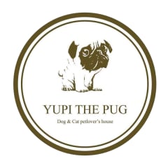 Yupi The Pug