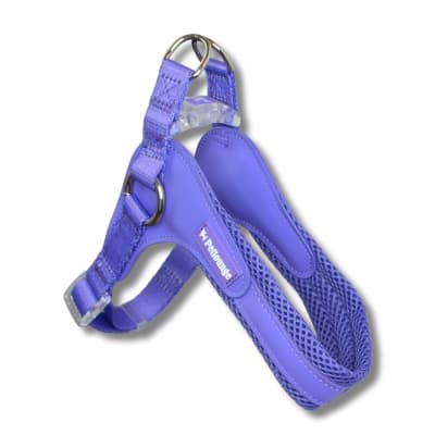 Petlounge Arnés Easy Glam morado para perros