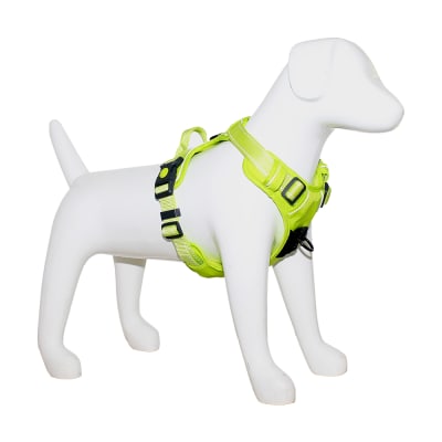 Mascan Arnés Deportivo de Control Verde